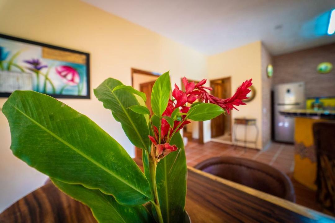 Casa Palmito Cerca De La Playa Villa Yelapa Eksteriør bilde